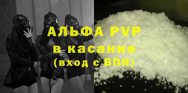 стафф Алзамай