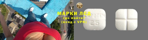 PSILOCYBIN Абдулино