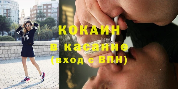 индика Покров