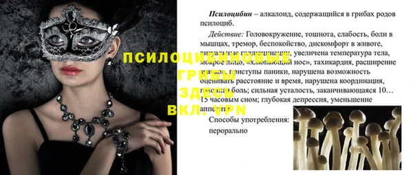 PSILOCYBIN Абдулино