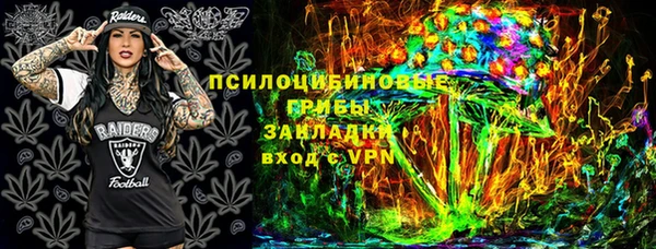PSILOCYBIN Абдулино