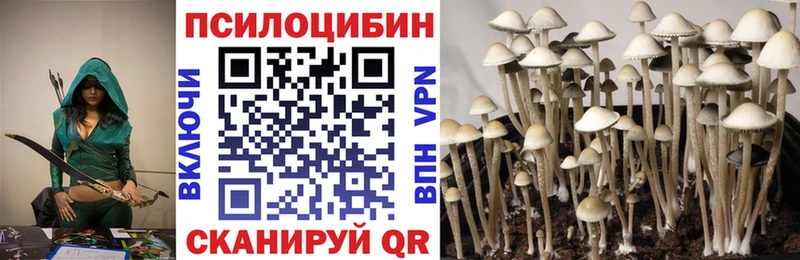 Галлюциногенные грибы Magic Shrooms  Инза 